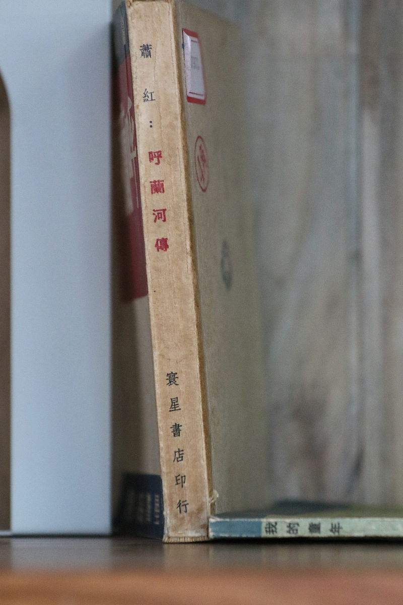 黑龙江省图书馆萧红文学馆里收藏了几十种<strong>版本</strong>的《呼兰河传》单行本