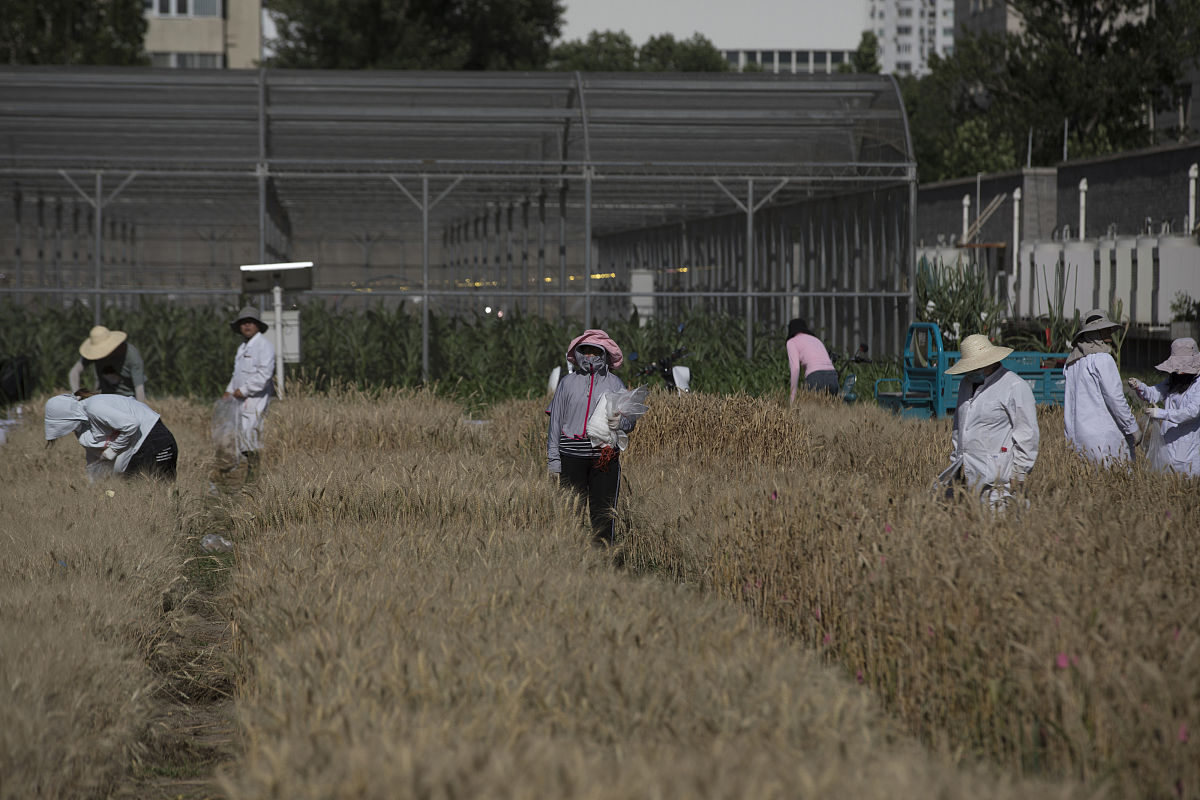 楚雄市初等农业机械化技术学校怎么样_学校地址在哪里