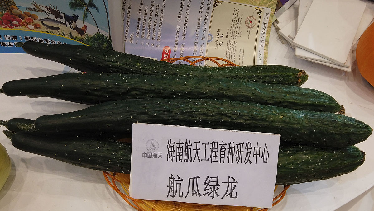 黄瓜育种方案计划书。包含育种目标、育种途径、育种步骤等