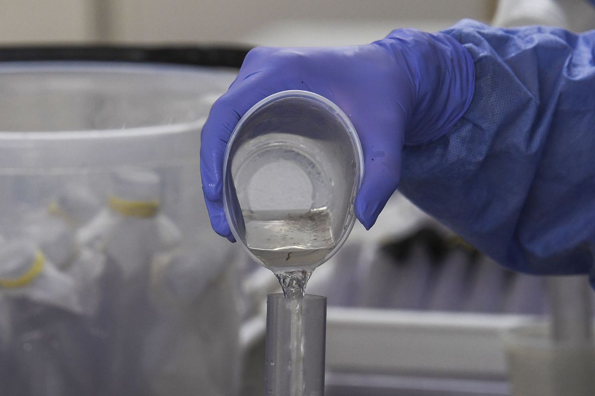 细菌病疫苗质量标准查询指南