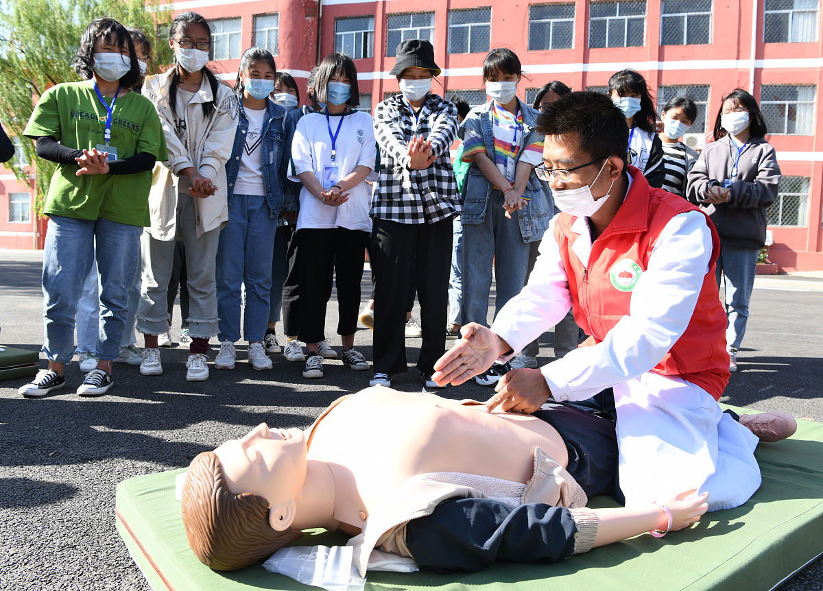 对以下内容进行适当的扩句：可以看到在理想模型情况下支架与气道的变形与受力均小于狭窄气道等比例重构模型支架对气道所施加的力比较平均和分散导致支架在较大范围内均提供了比较平均的支撑力但无法对最狭窄处形成较大支撑力。而等比例重构模型情况下支架几乎仅对最狭窄处有较大的支撑力和变形其余部分则受力与变形均较小。所以对比理想模型等比例模型的优势是对于气道狭窄处的变形与支架支撑时的变形有较为准确的模拟结果。