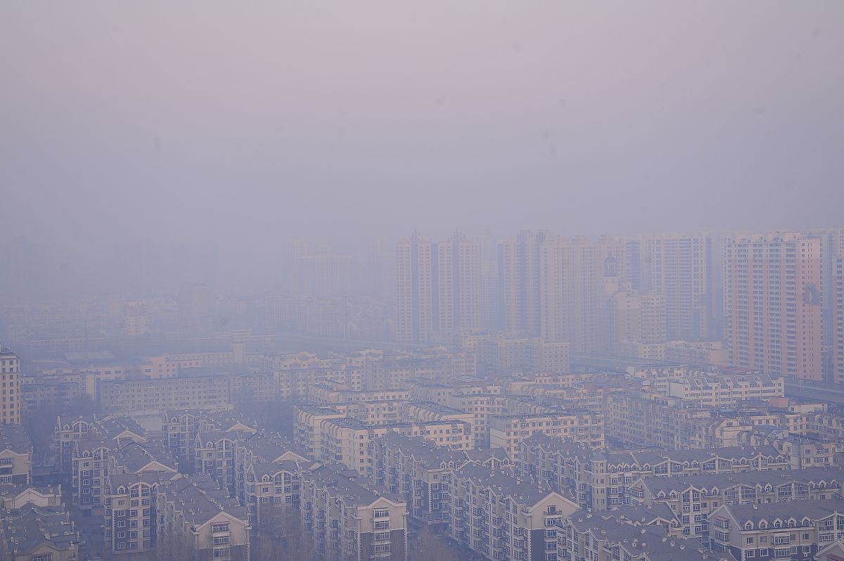 现代生活环境与都市病：特点、对策与学习体会