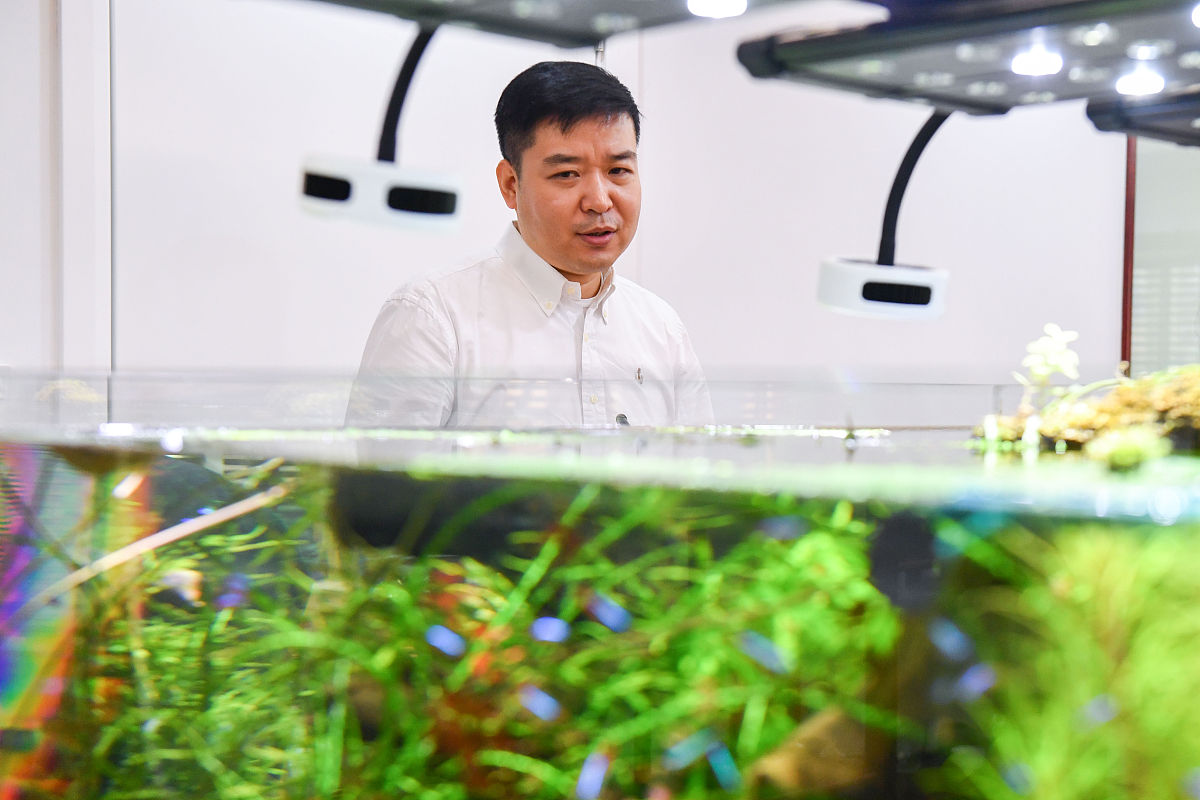 中央财经大学信息管理与信息系统专业怎么样？优势特点解析
