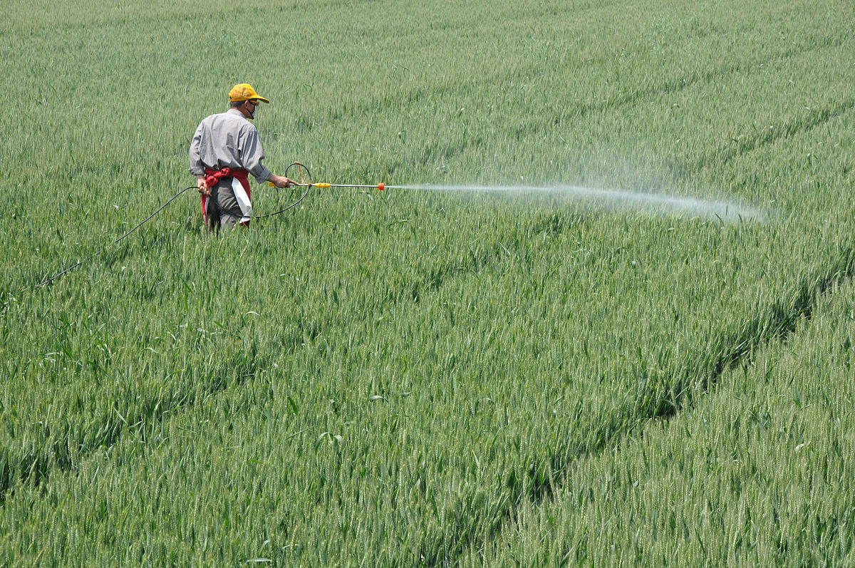 2023年湖北现代农业技师学院有哪些招生专业-好不好
