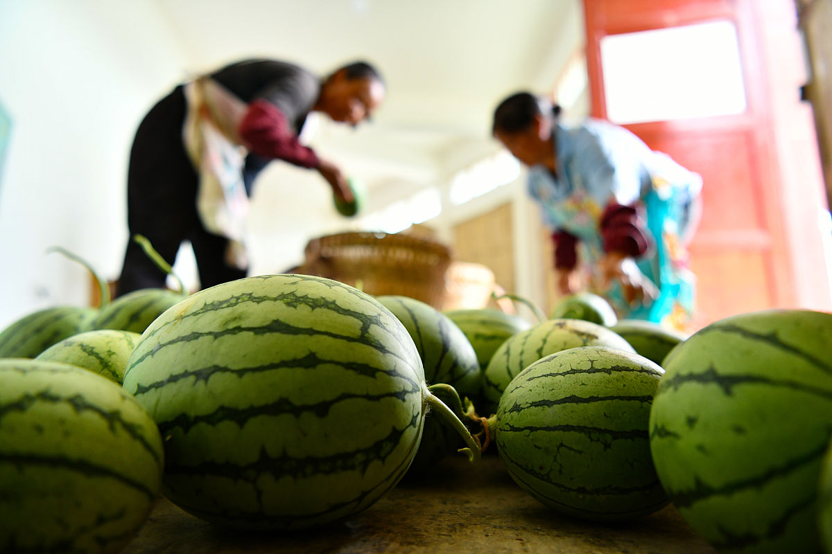 贵州农业机电学校焊接技术专业教学质量如何