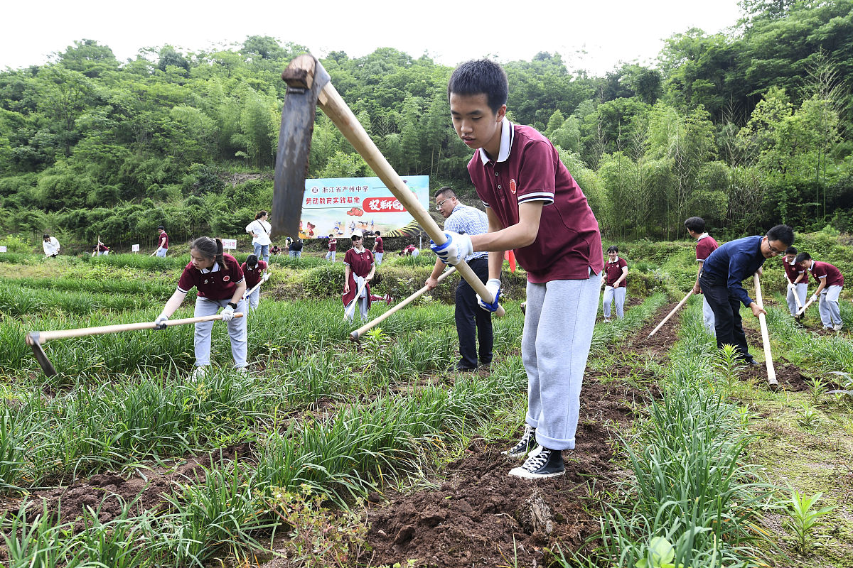 青少年劳动实践现状