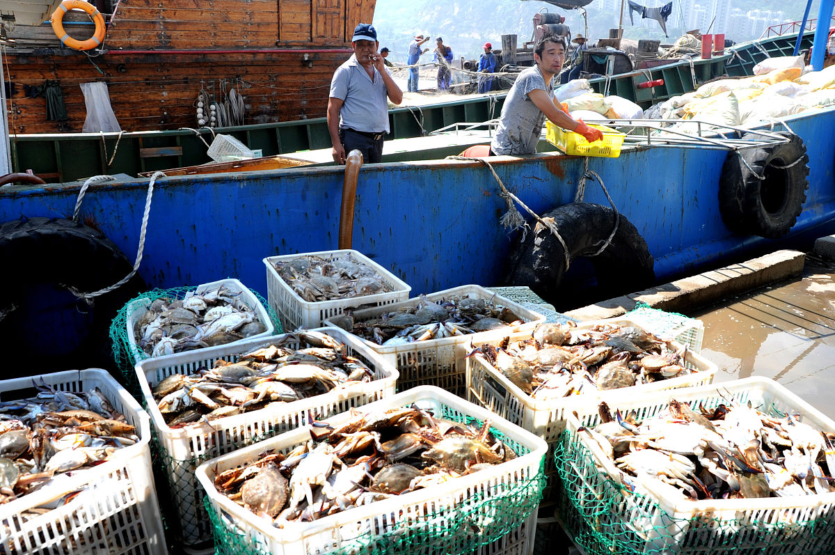 根据下面的内容改写近日一群渔民在海上捕鱼时意外发现了大量的名牌香烟。据悉这些香烟都是进口的有些甚至是限量版的价值不菲。