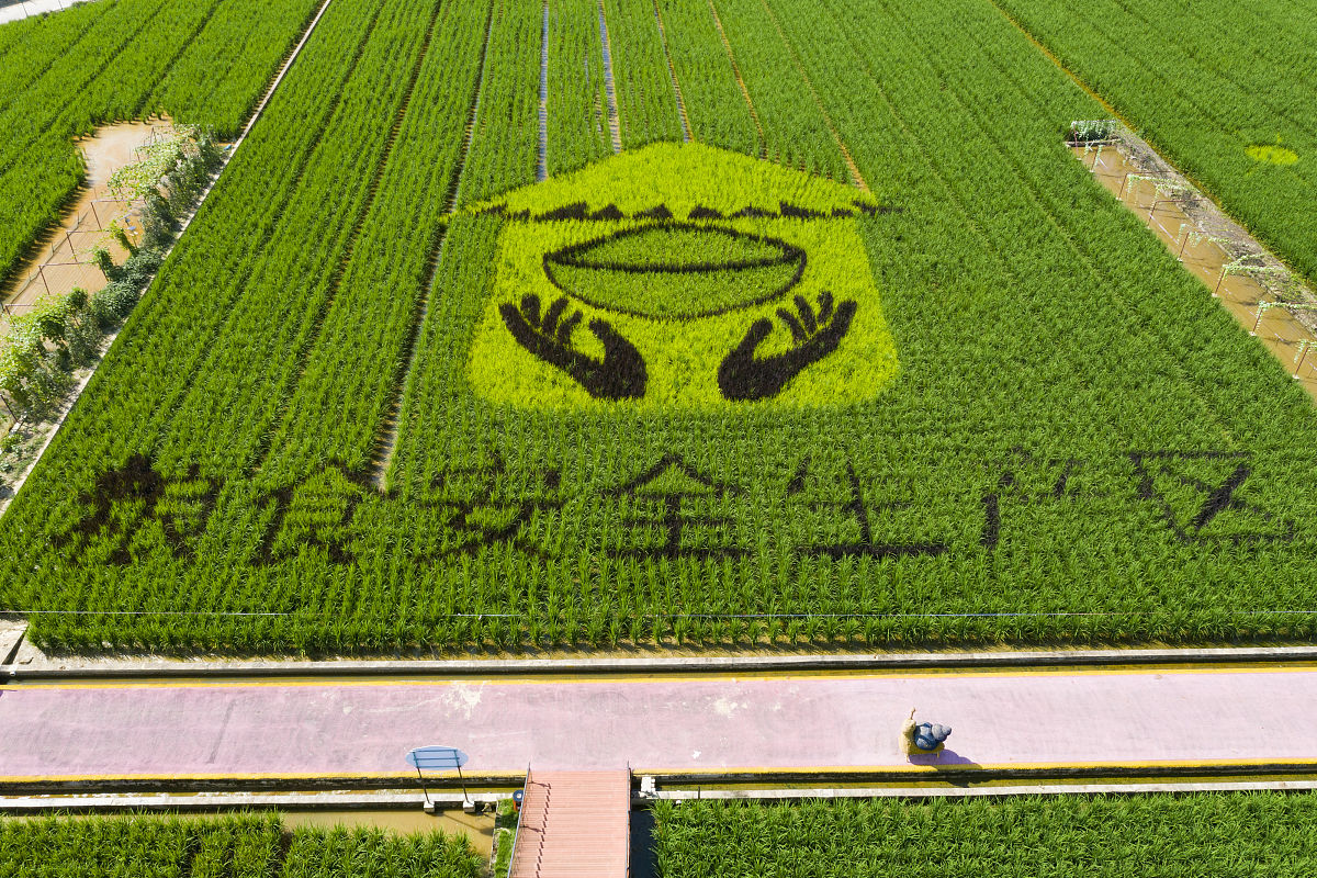 监理安全生产档案管理制度 - 提高工程安全管理效率 监理安全生产档案管理制度 - 提高工程安全管理效率