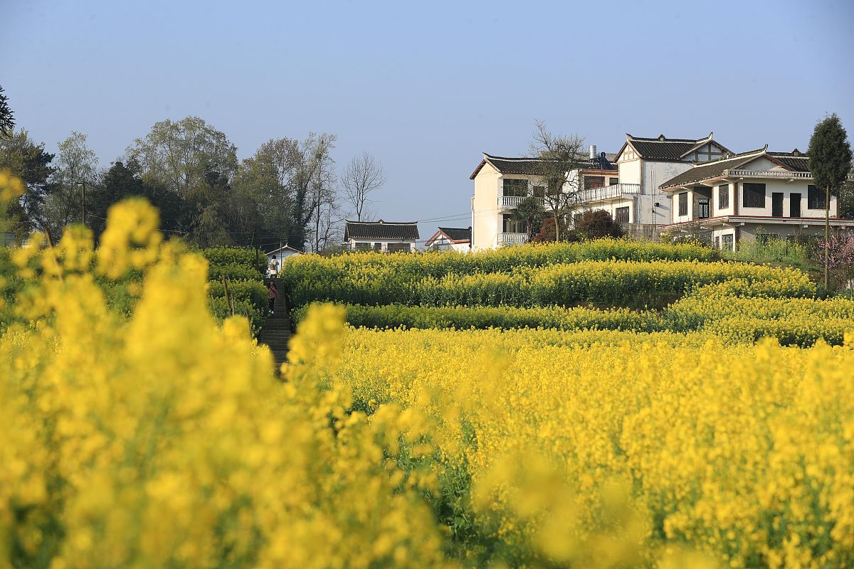 2019年黔西中等职业学校招生简章 - 贵州省黔西县职业学校
