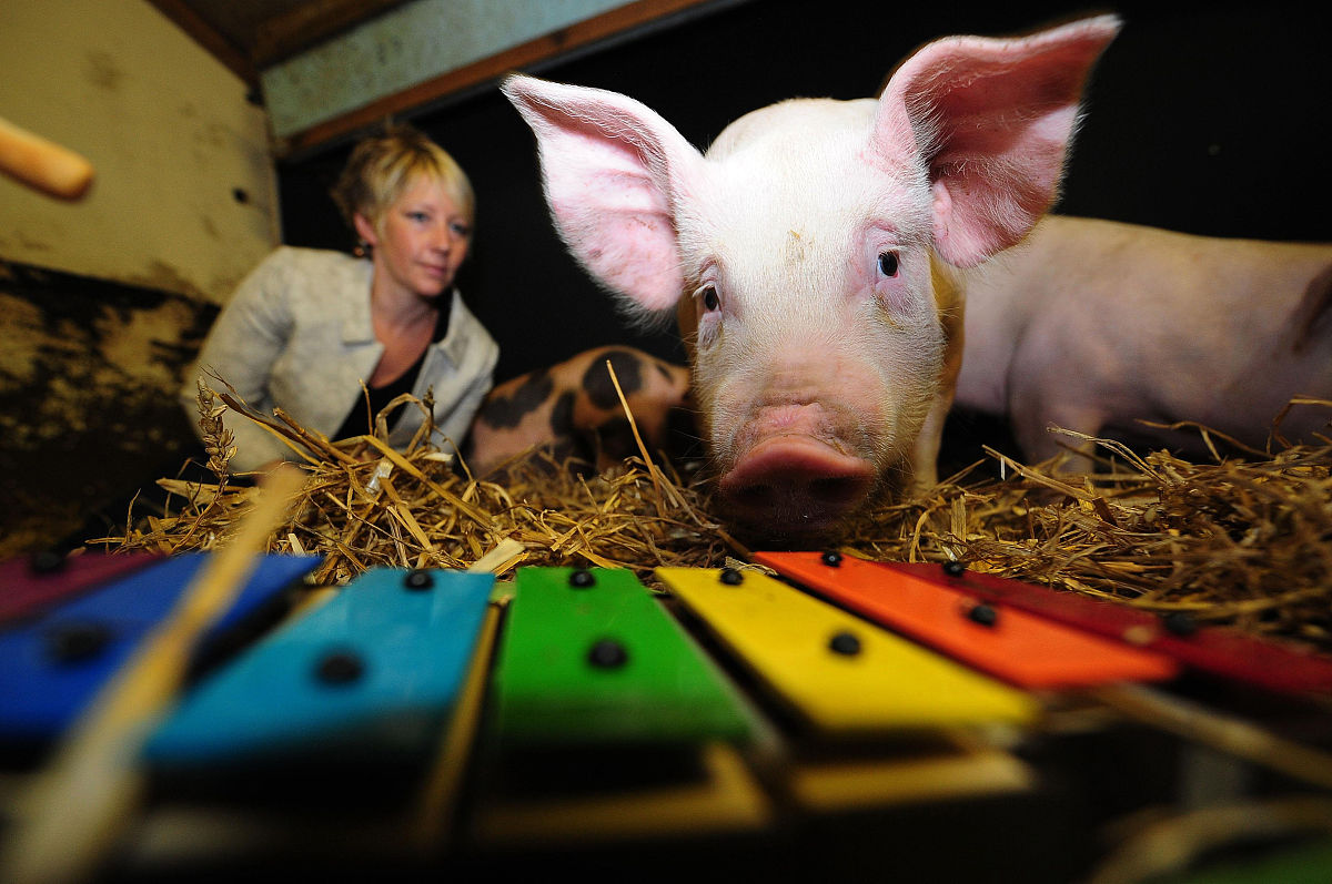 作为大学老师我是如何做好科研工作的