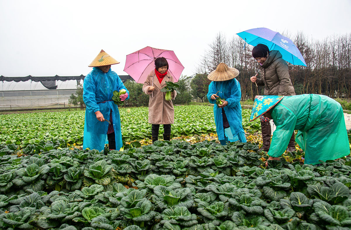 日照市农业学校招生专业有哪些专业
