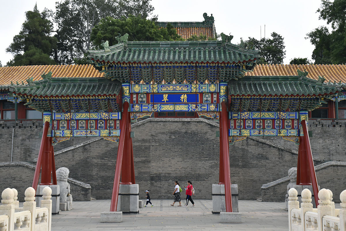 举几个现实国际国内现实中的灰犀牛黑天鹅例子并详细说出其影响每个事件大约200字