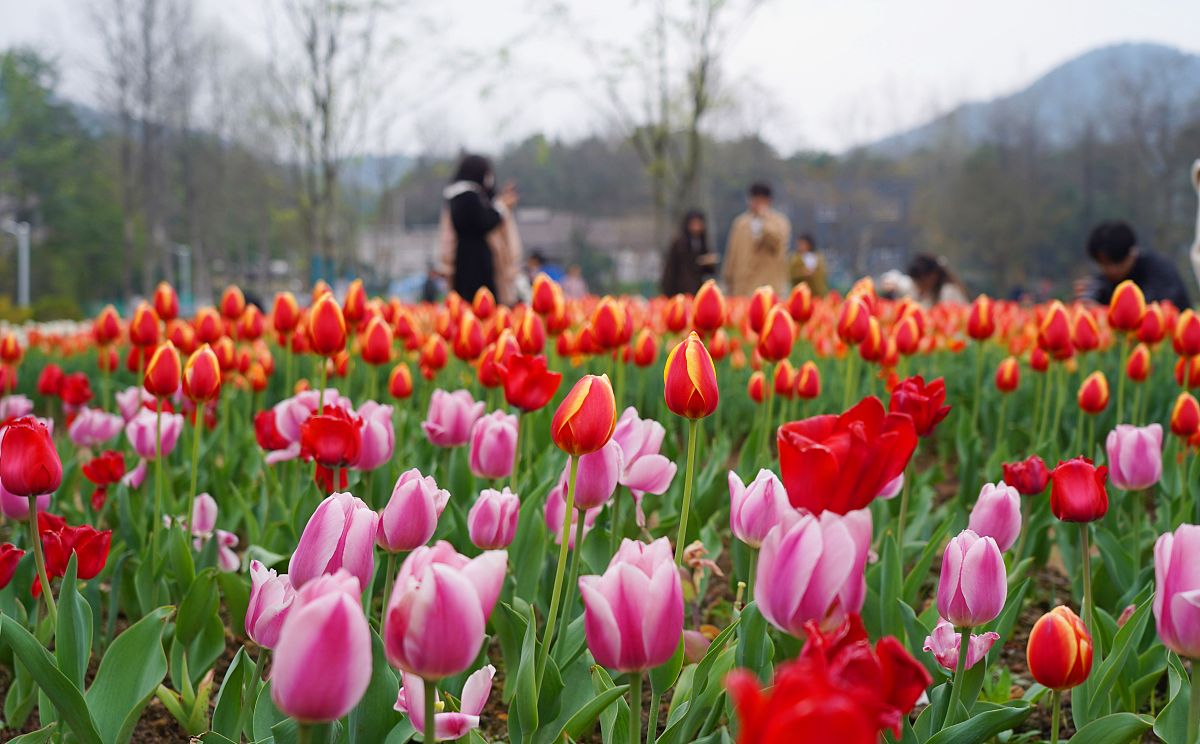 在重庆读幼师专业好不好