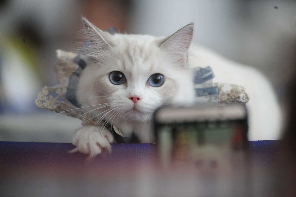 烟台黄金职业学院环境工程技术专业怎么样？好学吗？