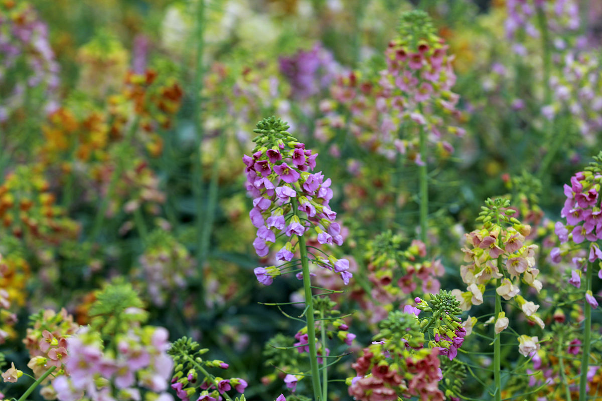 江西南昌技校招生简章：2021年热门专业及入学条件