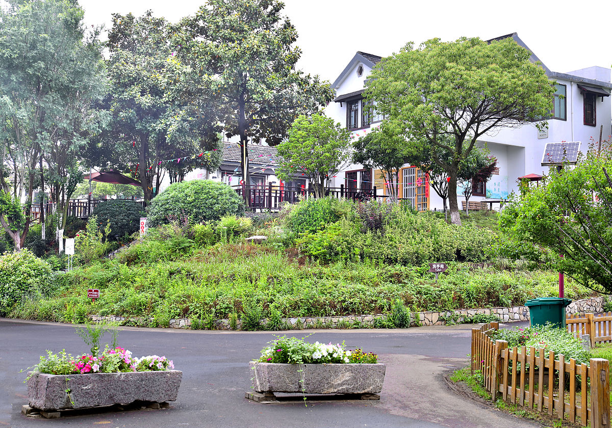 写一个低碳乡村建设方案