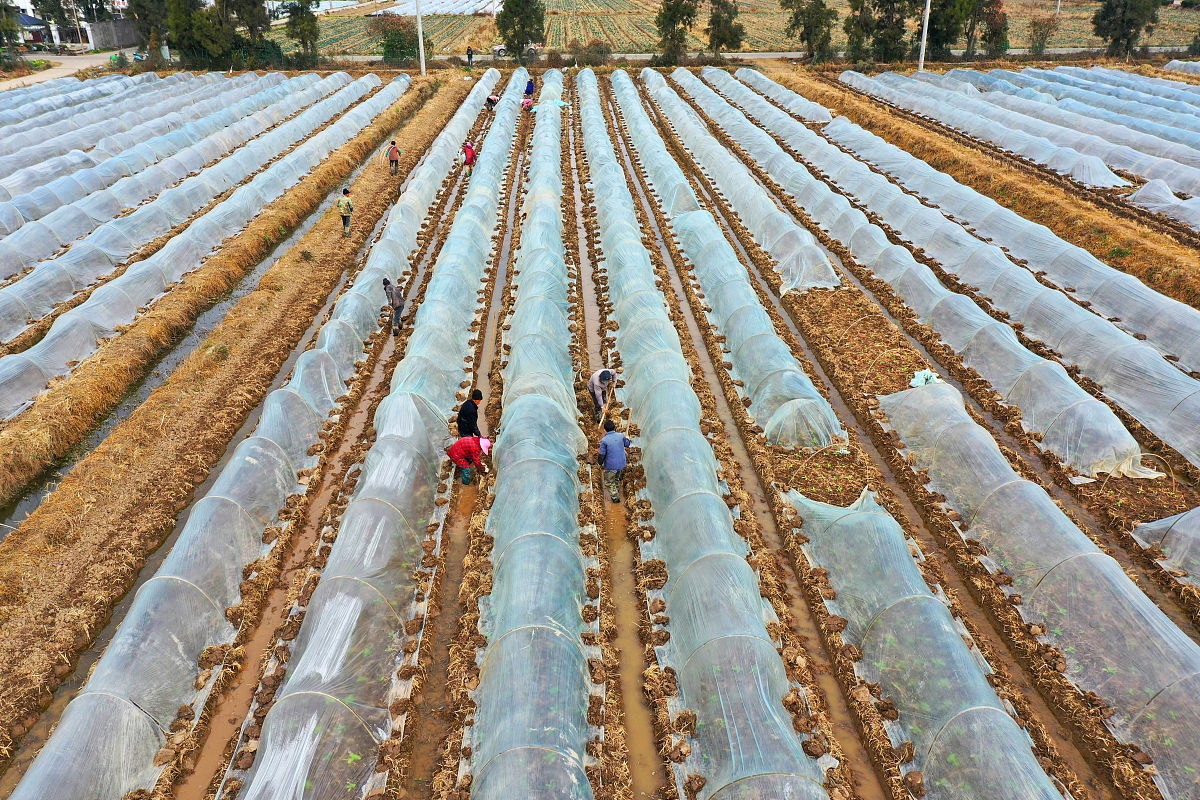 山东商务职业学院粮食工程技术与管理专业怎么样？就业方向及课程介绍