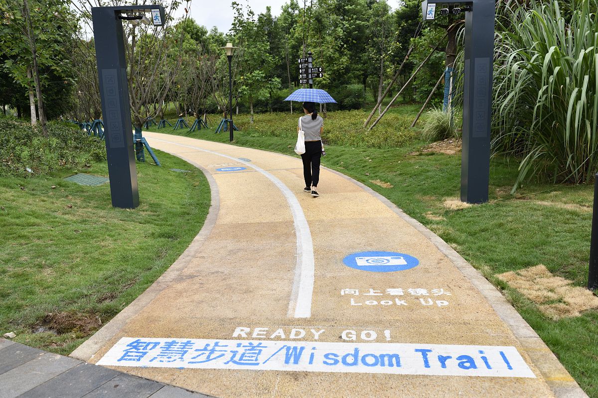 介绍一下奥林匹克森林公园的智慧跑道以及背后的全民体育精神