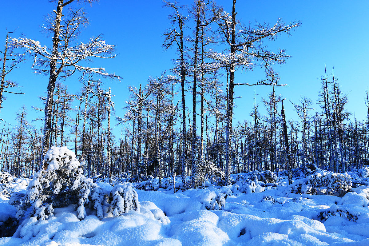 林海雪原指什么，