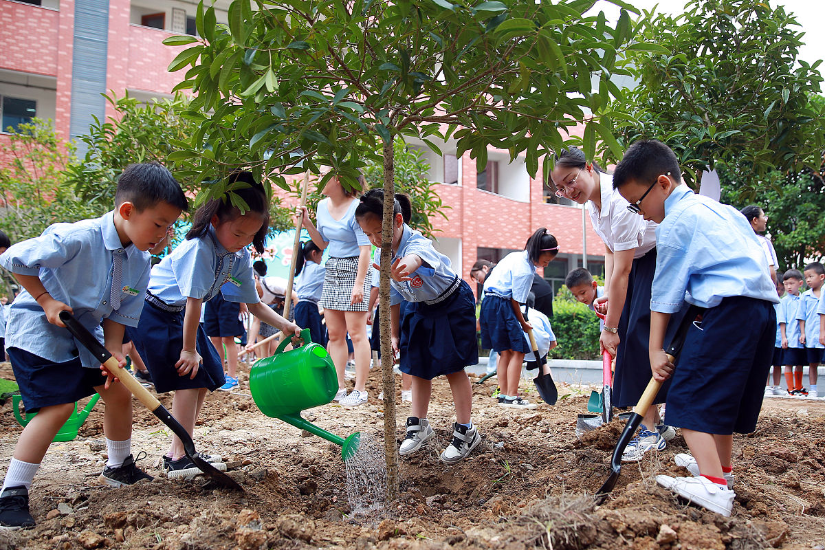 劳动教育 | 校内集体劳动成果汇报 - 200字