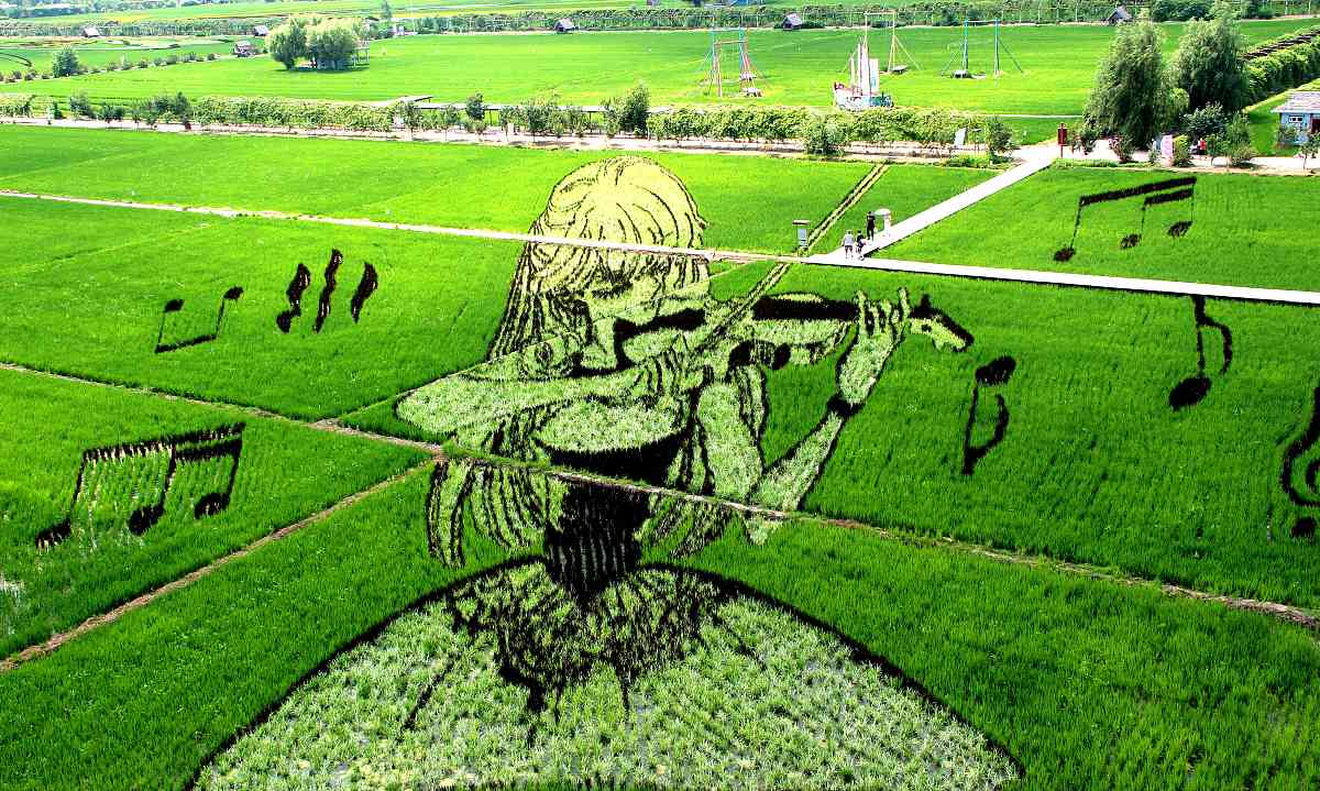 稻梦空间又名沈阳稻梦空间。优化下句子