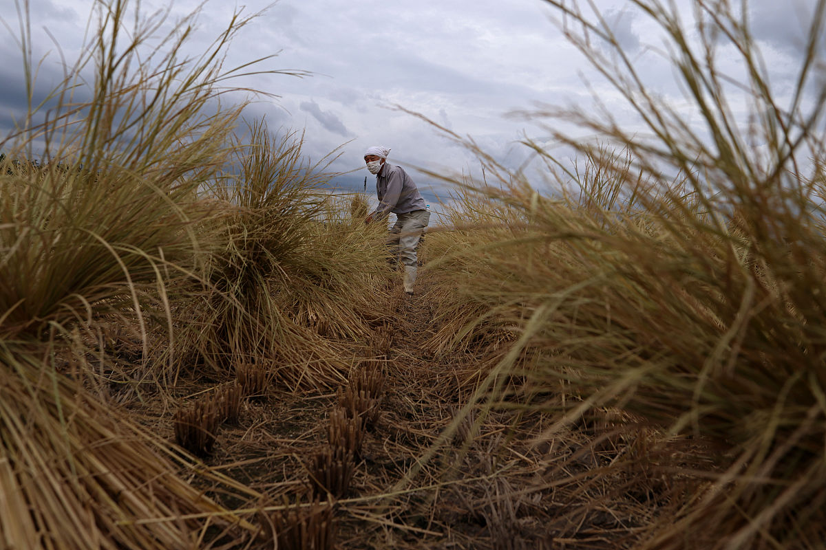 曲靖农业学校2019年五年制招生专业