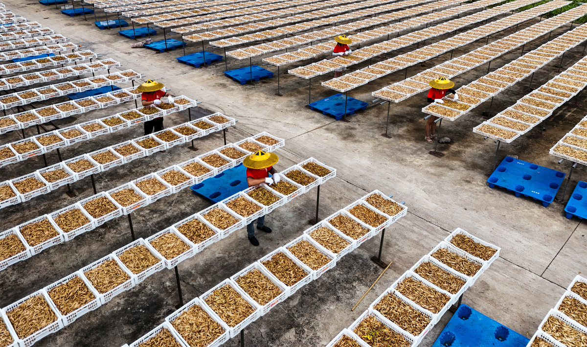 东宁木耳市场前景广阔，产业发展潜力巨大