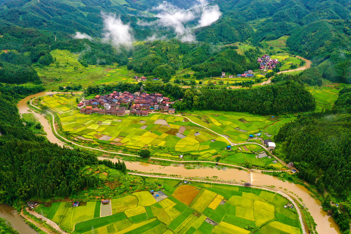 乡村生态环境改善指南：2000字详解如何打造绿色家园