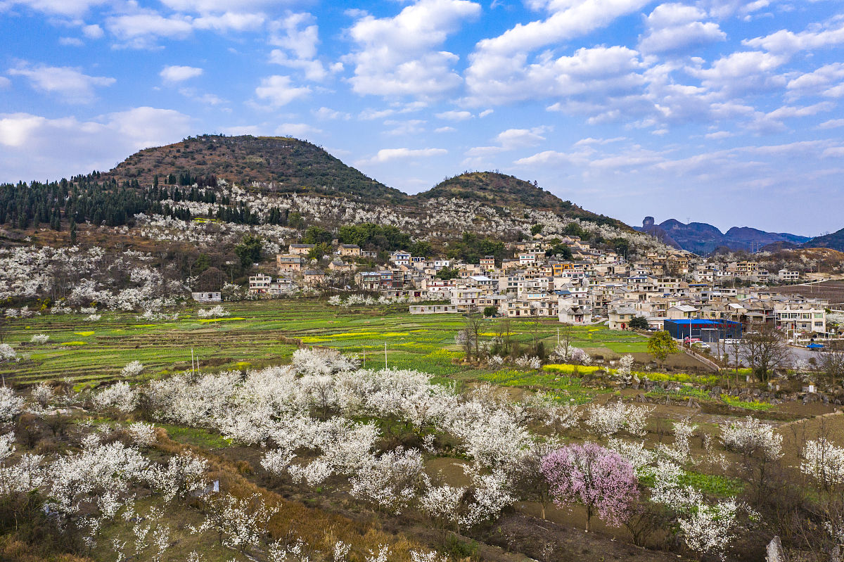 贵州医科大学药事管理专业怎么样？值得报考吗？