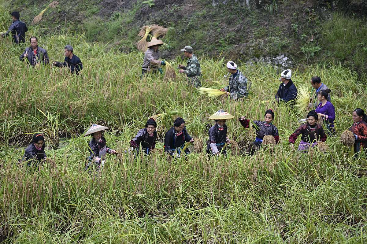 2020年贵州卫校那个学校好