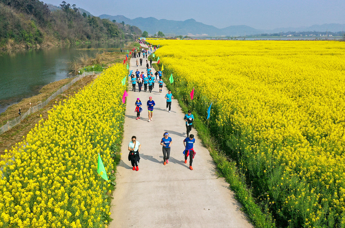 关于四川南充房建施工总承包二级资质新办及转让多少钱内容生动