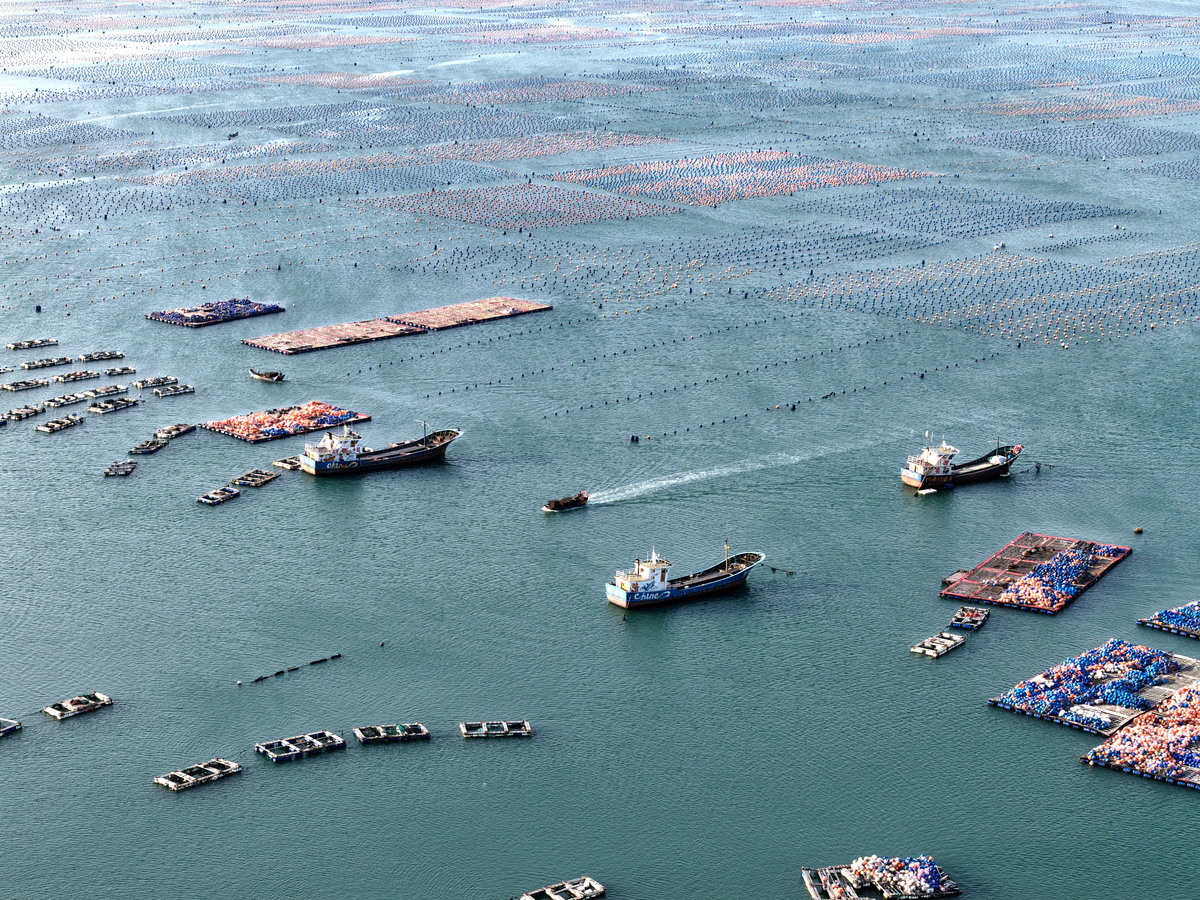 茅尾海位于广西壮族自治区钦州市南部广西钦州湾海域顶部其南临钦州湾属于钦州湾内海。从地图上可以看到茅尾海内宽口窄形似一个倒挂的葫芦又如湖泊是半封闭式的内海。茅尾海东至坚心围南至青菜头西至茅岭江口北至大揽江渡口海岸线长约120公里面积约134平方公里南北纵深约18公里东西最宽处为126公里水深01～5米水的最深处可达29米。茅尾海在行政区上大部分隶属于广西钦州市总面积135平方公里钦州市辖区范围内约1