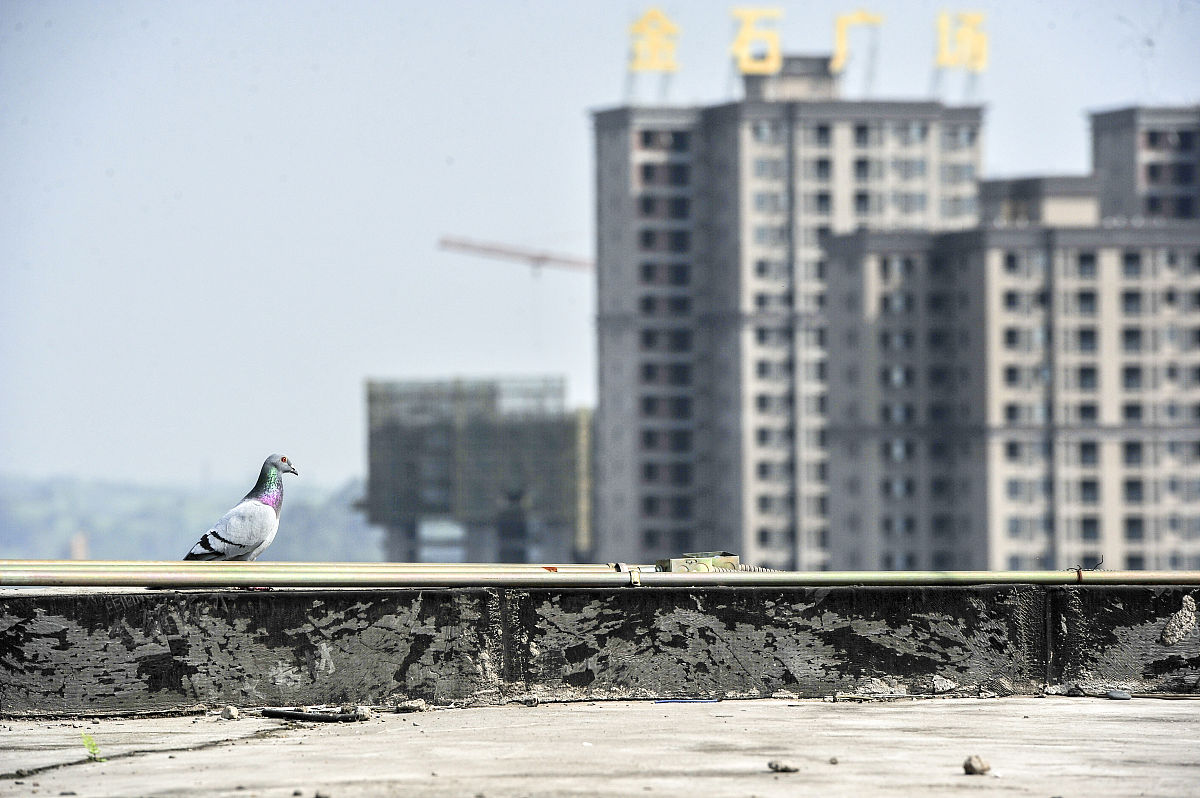 四川建筑学校建筑学专业：就业前景、发展方向及未来趋势