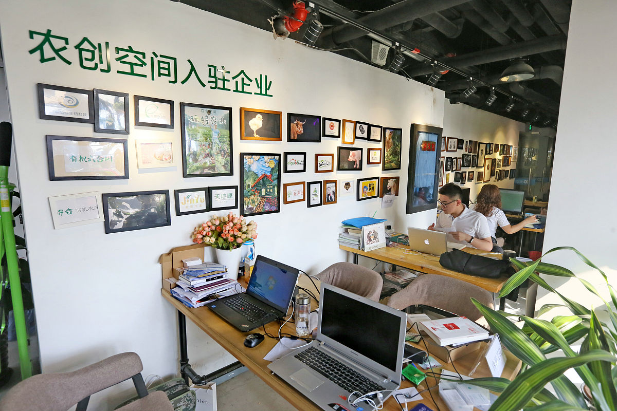 针对浙江共富工坊写几条评论