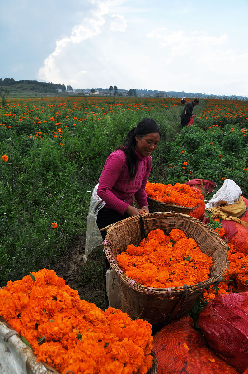 毕节中专 vs 大专：哪个更适合你？