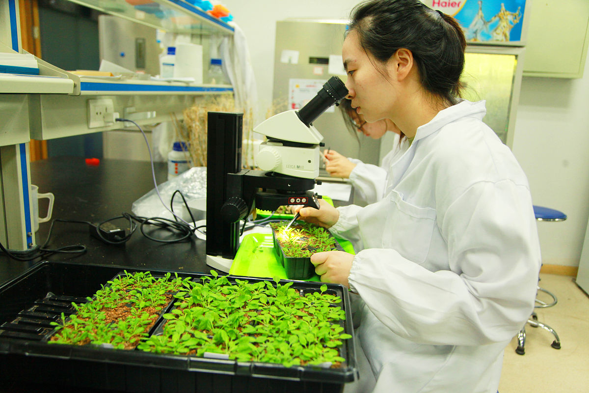 贵阳卫生学校中药制药专业介绍：培养中药制剂人才