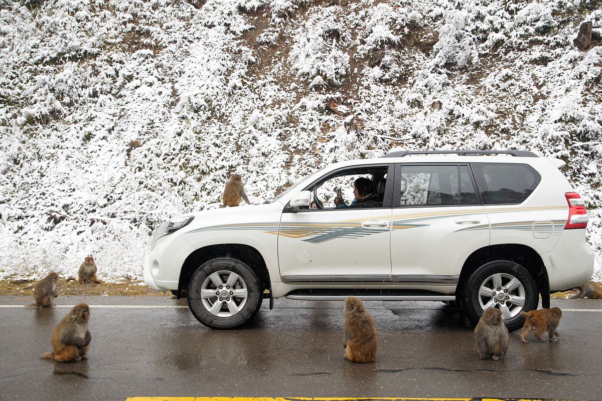 四川交通职业技术学院汽车服务工程专业