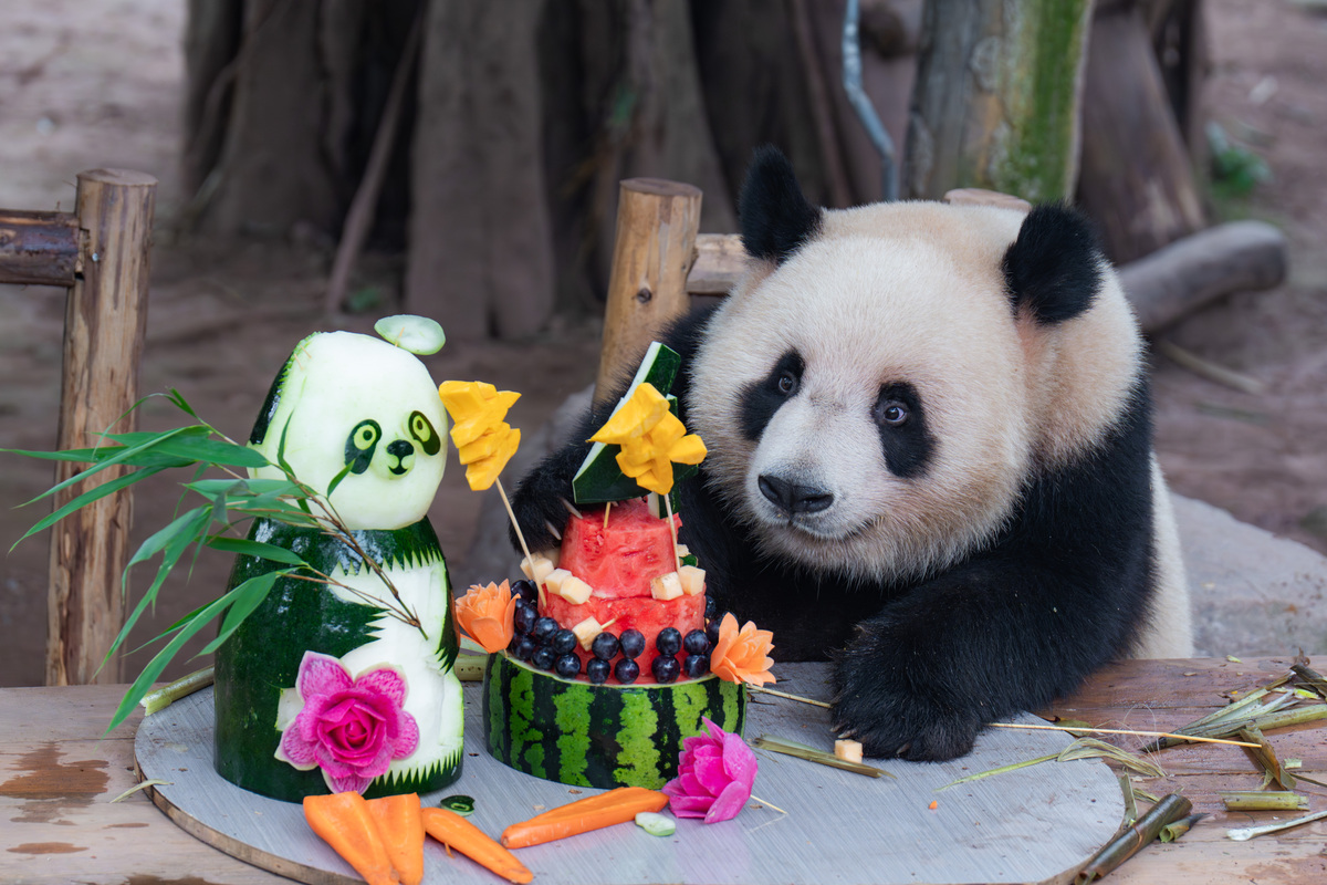 Today I am delighted to share with you about my recent trip to Chengdu a vibrant and captivating city in China Chengdu is not only famous for its mouthwatering cuisine but also for its rich history an