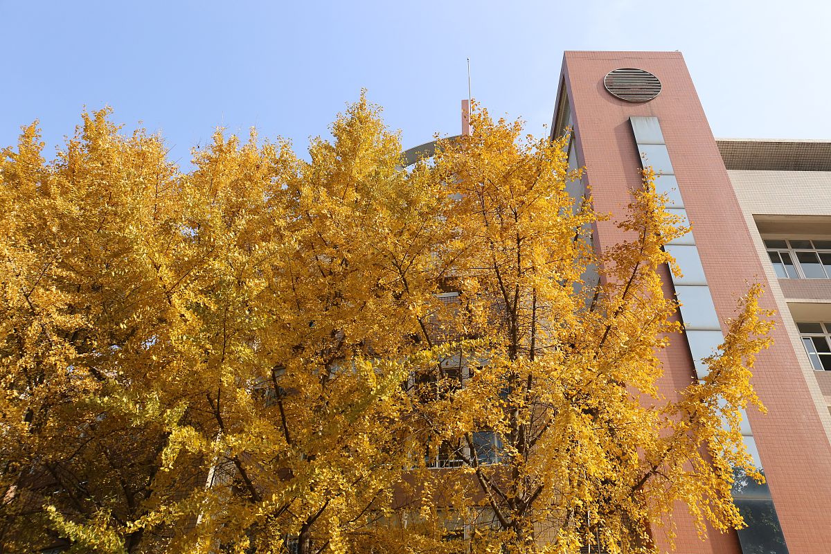 2019年重庆工商学校招生简章