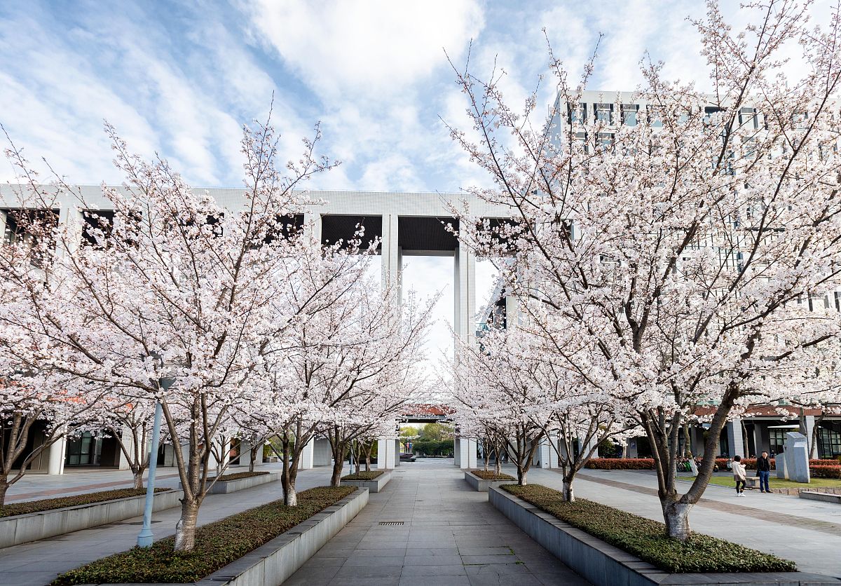 大学四年规划书：助你全面发展，成就精彩未来