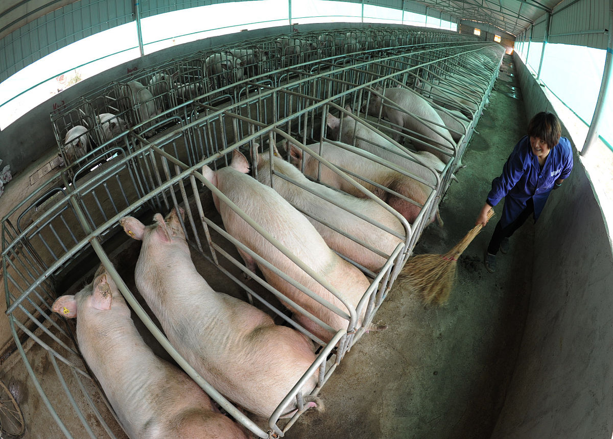 养殖业关键词大全：50个热门词，助你轻松掌握行业资讯