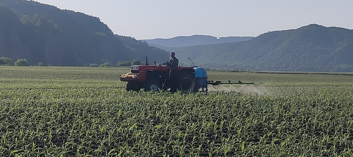 The Relationship Between Xinjiang Agricultural Product E-commerce and Farmers' Income: A Study