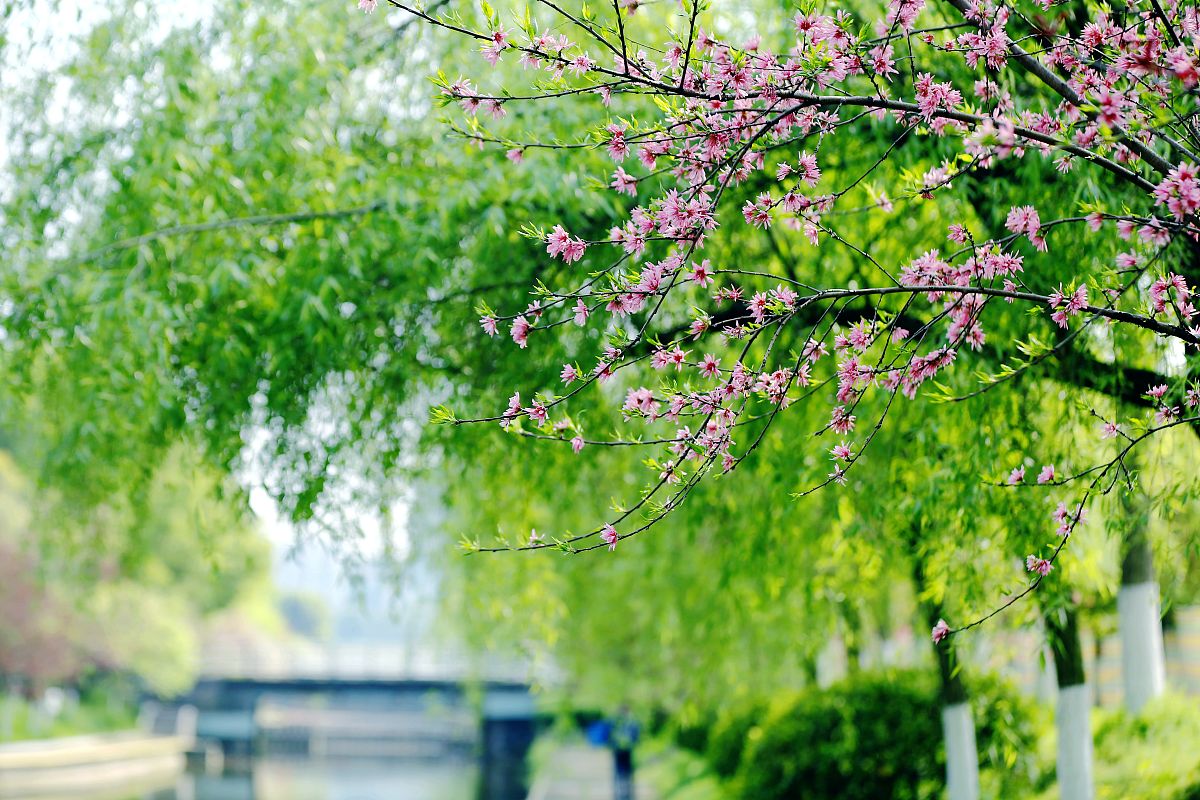 三峡联合职业大学招生办联系电话：招生信息一览