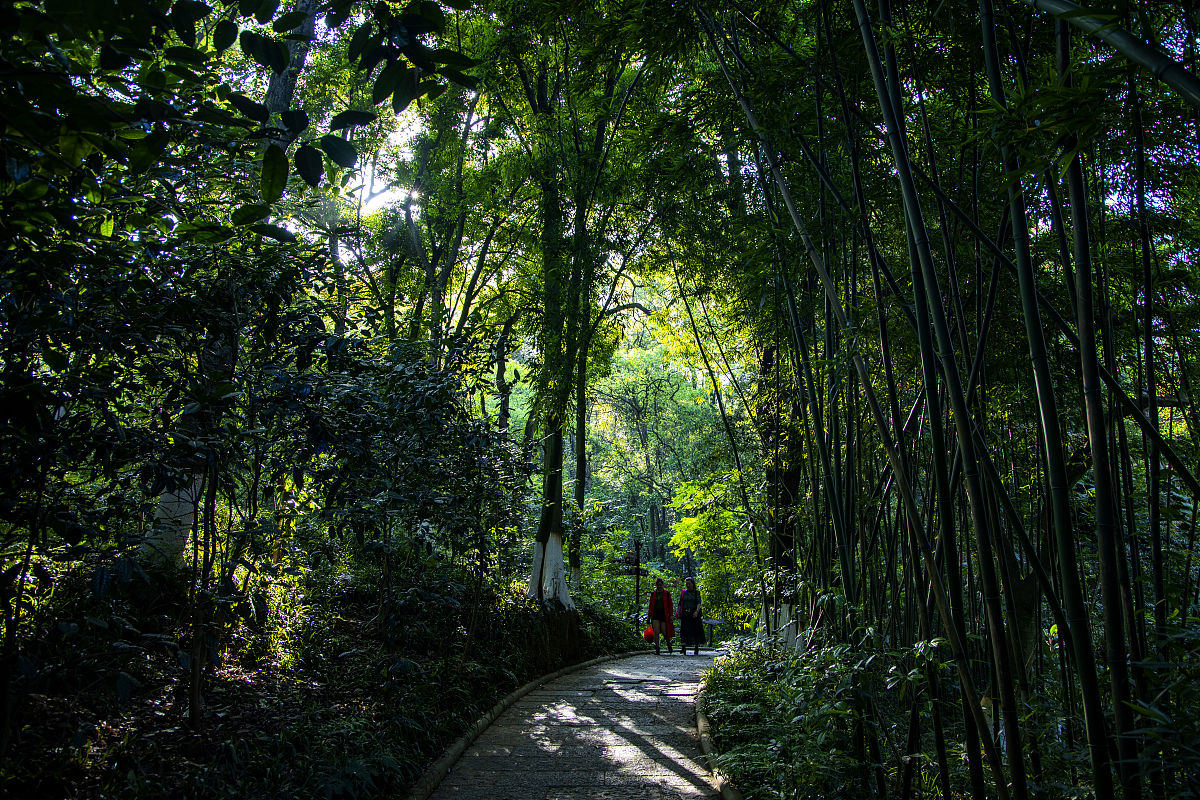 2021年3月26日,桂林,广西植物研究所内姹紫嫣红,阳光下的杜鹃花煞是好