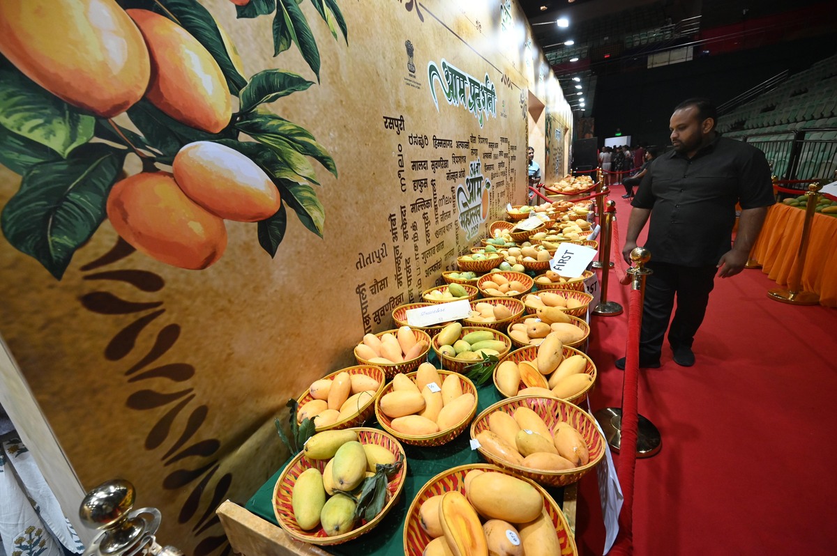 百色芒果田东芒果文化节旅游开发研究：以水果类节庆为案例