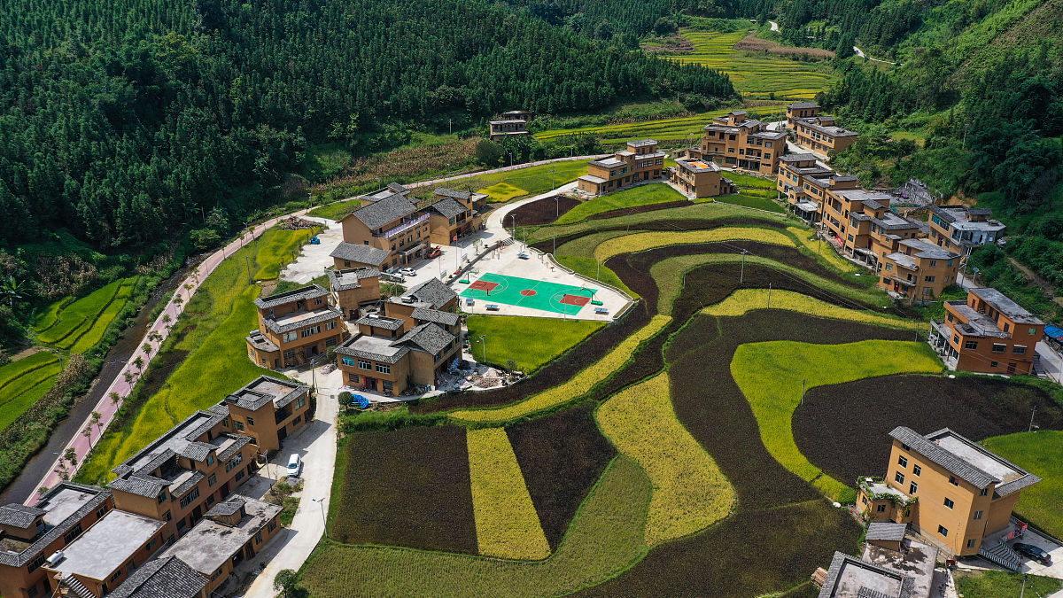 乡村振兴调研报告：问题与路径分析