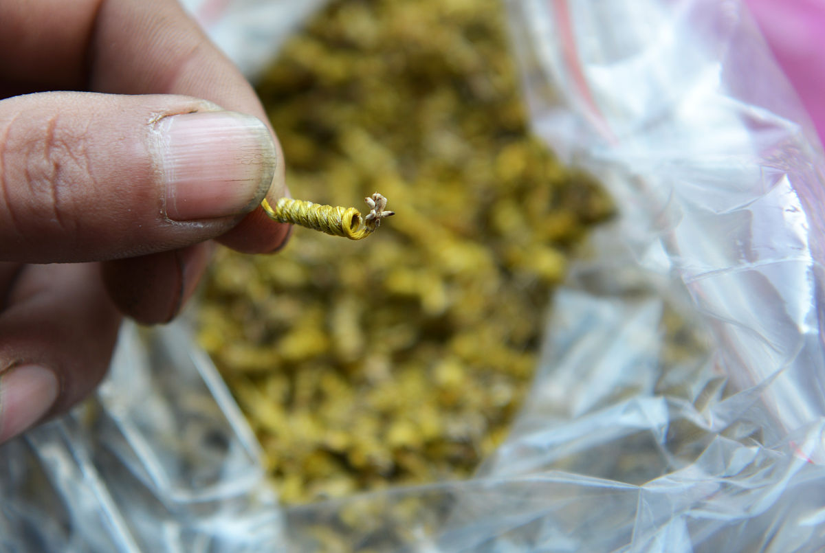 石斛哪里正宗？教你一眼辨别真假石斛！