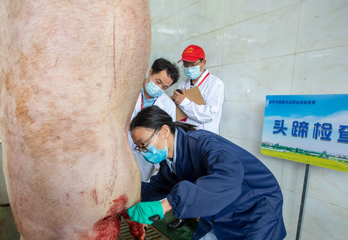 广西农业职业技术学院药学专业就业方向：从研发到销售，你的选择很多