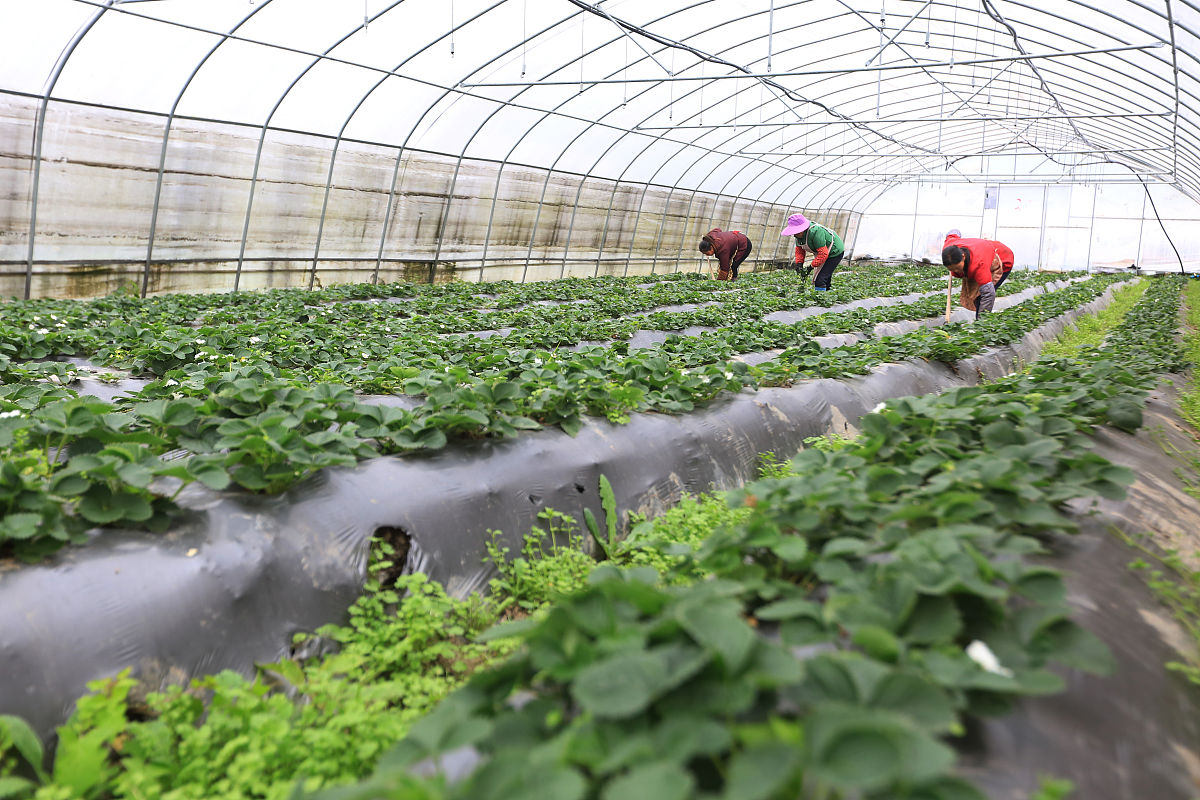 毕节市七星关区中等职业学校客户信息服务专业就业前景分析