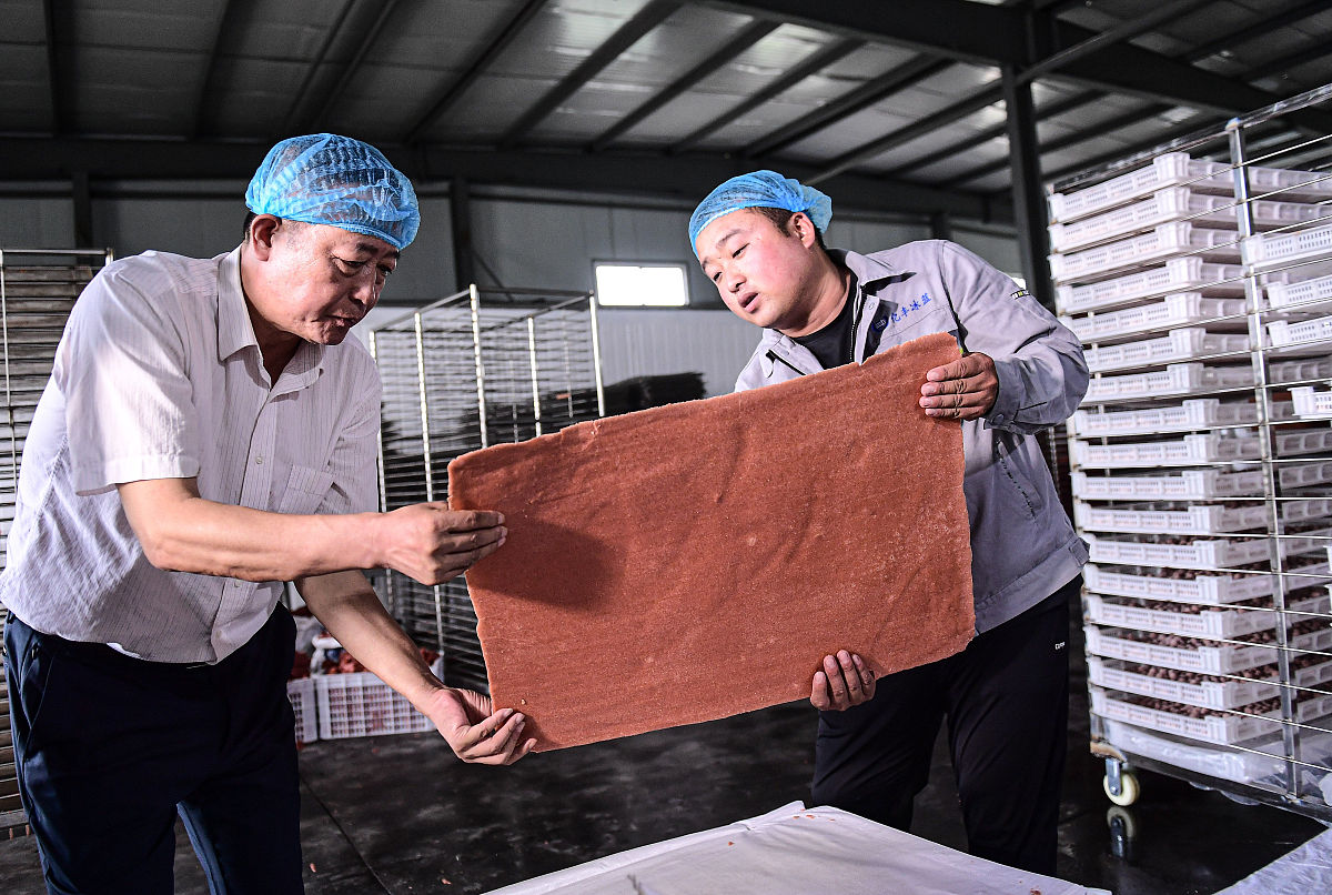 沈阳农业大学食品质量与安全专业怎么样